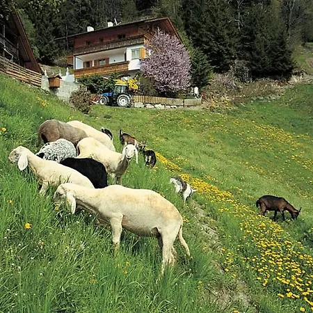 Hotel Gasthof Rastlhof 3*